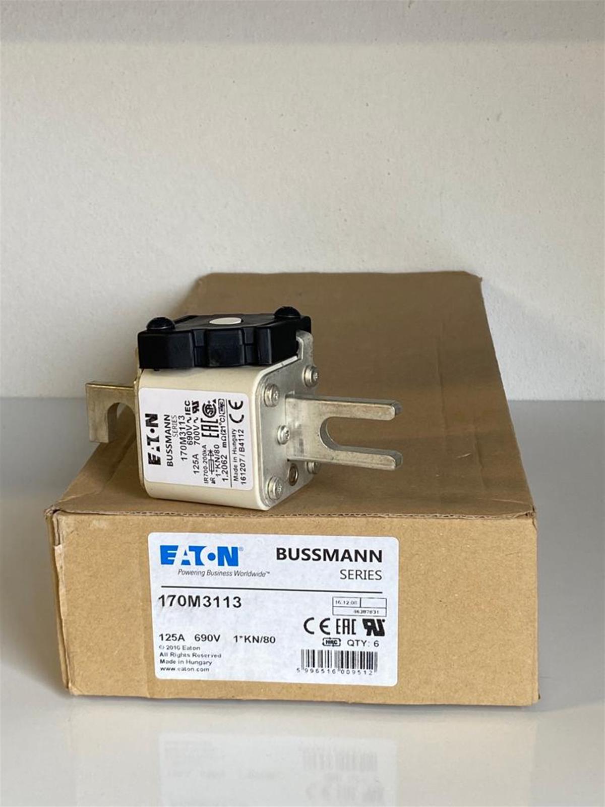 Eaton Bussmann170M3113 FUSE 125A 690V 1*KN/80 AR UC  Bussmann170M3113 FUSE 125A 690V 1*KN/80 AR UC  Bussmann