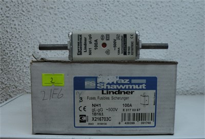 Genel Sigorta NH 1 100A 500V GG