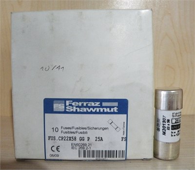 Ferrule Sigorta 690V CP 22X58 GG 25A P