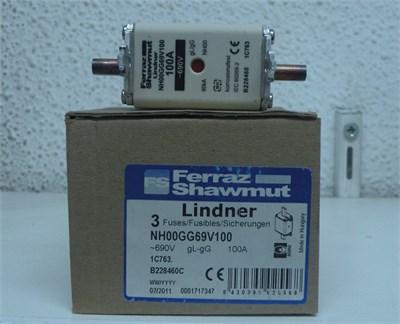Genel Sigorta NH 00 100A 690V GG