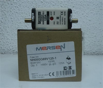 Genel Sigorta NH 00 125A 690V GG SGL