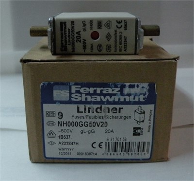 Genel Sigorta NH 000 20A 500V GG