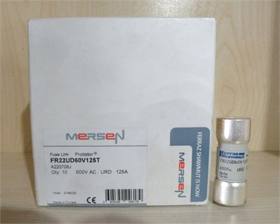 Hızlı Sigorta 600V AC URD 125A 