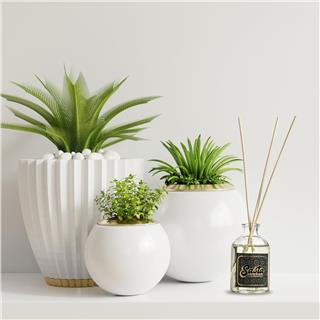 Ihlamur Kokulu Bambu Çubuklu Oda Kokusu Eko (50ml) Oda Parfümü