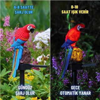 Solar Güneş Enerjili Aplik Papağan Led Lamba Bahçe Veranda Merdivenlerinizde Şık Peyzaj Aydınlatması 1 Adet Saplamalı