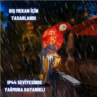Solar Güneş Enerjili Aplik Papağan Led Lamba Bahçe Veranda Merdivenlerinizde Şık Peyzaj Aydınlatması 1 Adet Saplamalı