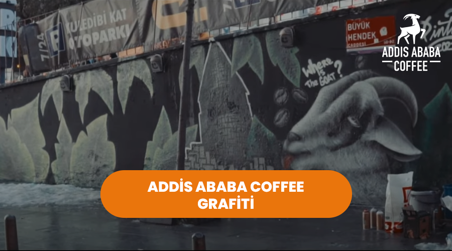 Grafiti Sanatı ile Galata ve Beyoğlu Duvarlarını Güzelleştirdik [VİDEO İÇERİK]