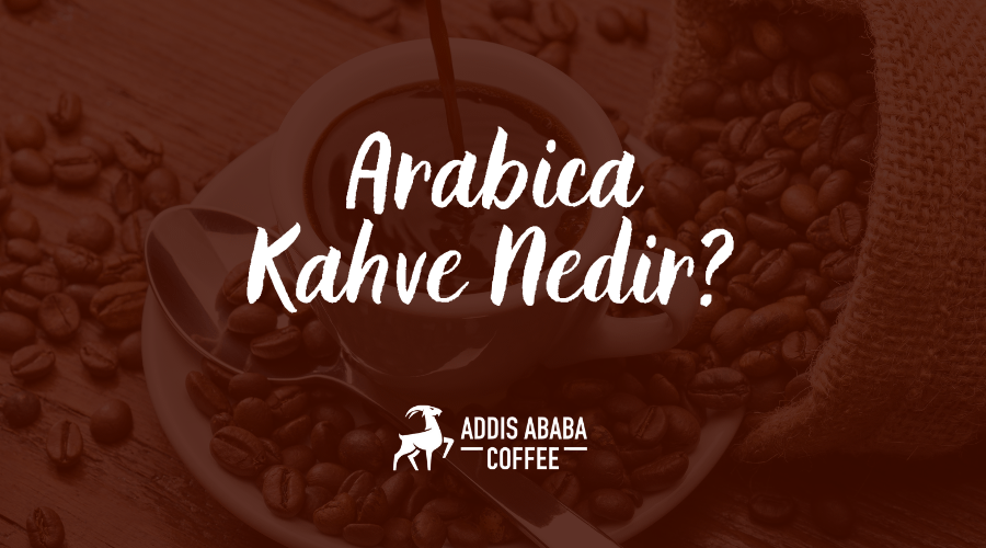 Arabica Kahve Nedir?