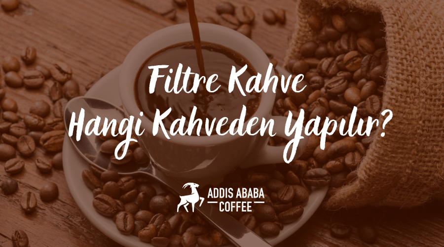 Filtre Kahve Hangi Kahveden Yapılır?