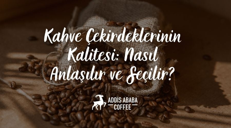 kahve çekirdeklerinin kalitesi nasıl anlaşılır?