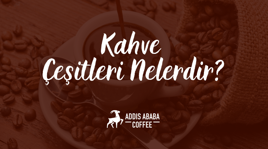 Kahve Çeşitleri Nelerdir?