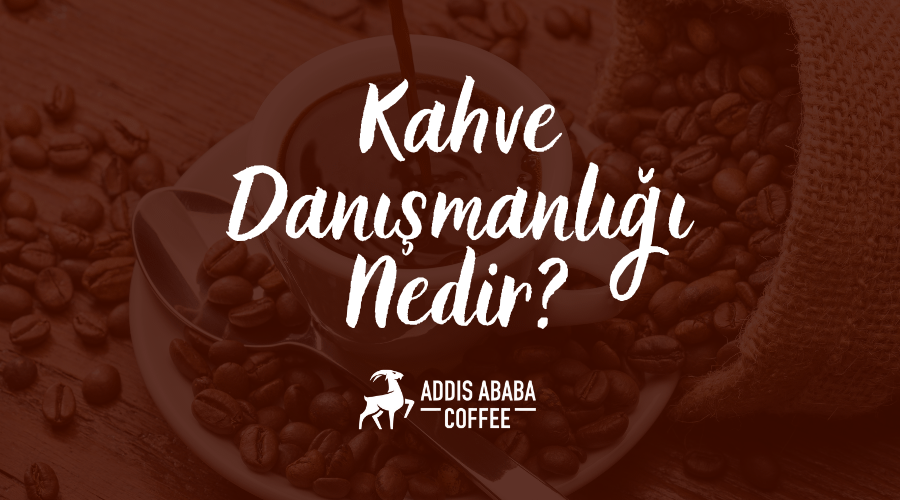 Kahve Danışmanlığı Nedir?
