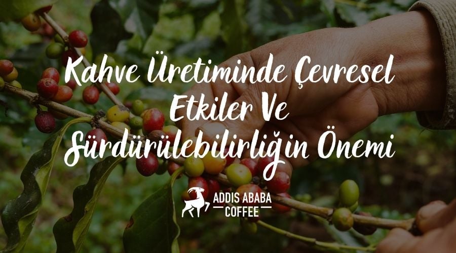Kahve üretiminde çevresel etki