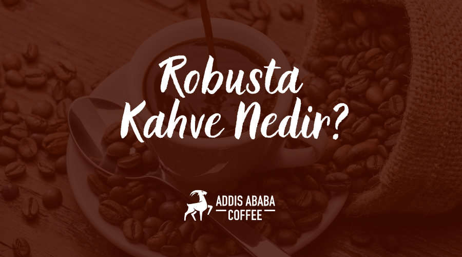 Robusta Kahve Nedir?
