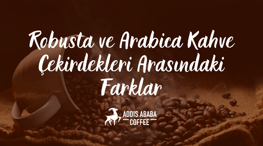 Robusta ve Arabica Kahve Çekirdekleri Arasındaki Fark Nedir?