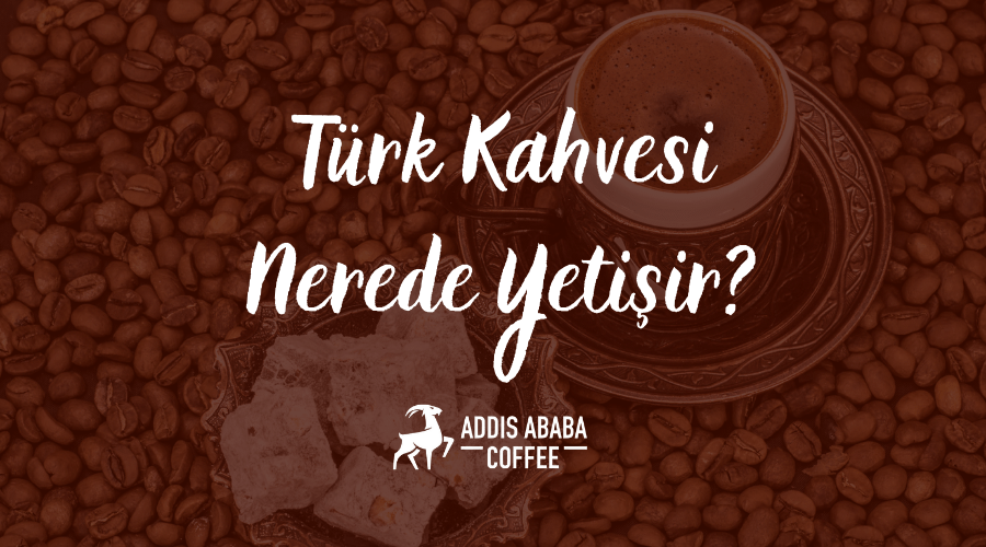Türk Kahvesi Nerede Yetişir?