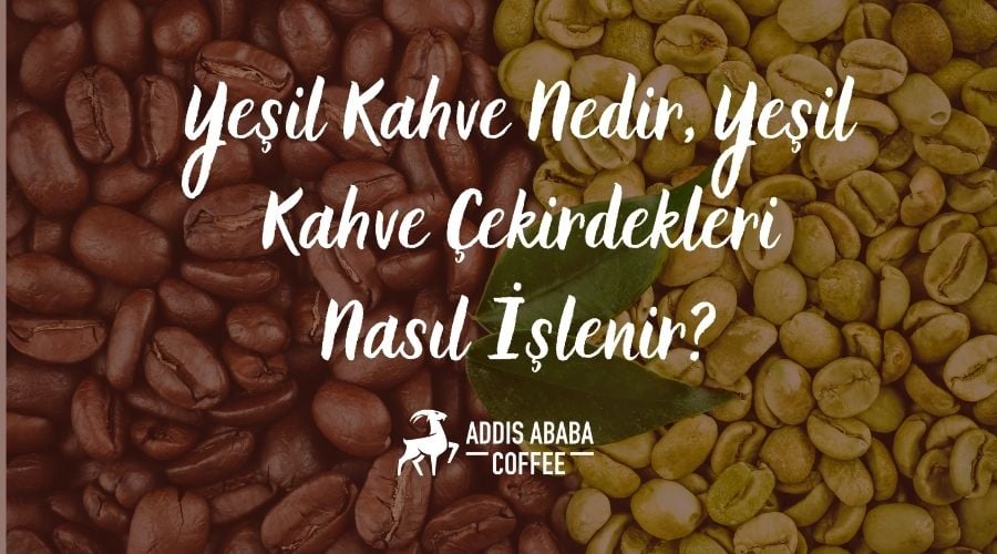 Yeşil Kahve Nedir, Yeşil Kahve Çekirdekleri Nasıl İşlenir?
