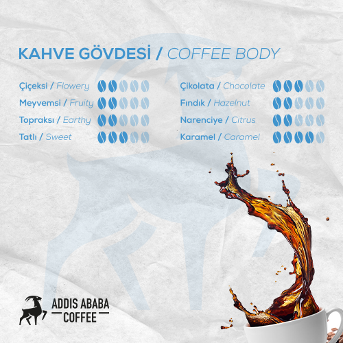Addis Ababa Coffee - Dünya  Kahvesi - Arabica - Guatemala - 1000 Gr. 