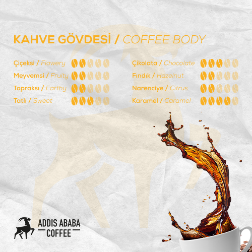 Addis Ababa Coffee - Dünya  Kahvesi - Arabica - Etiyopya Yirgacfee - 1000 Gr. 