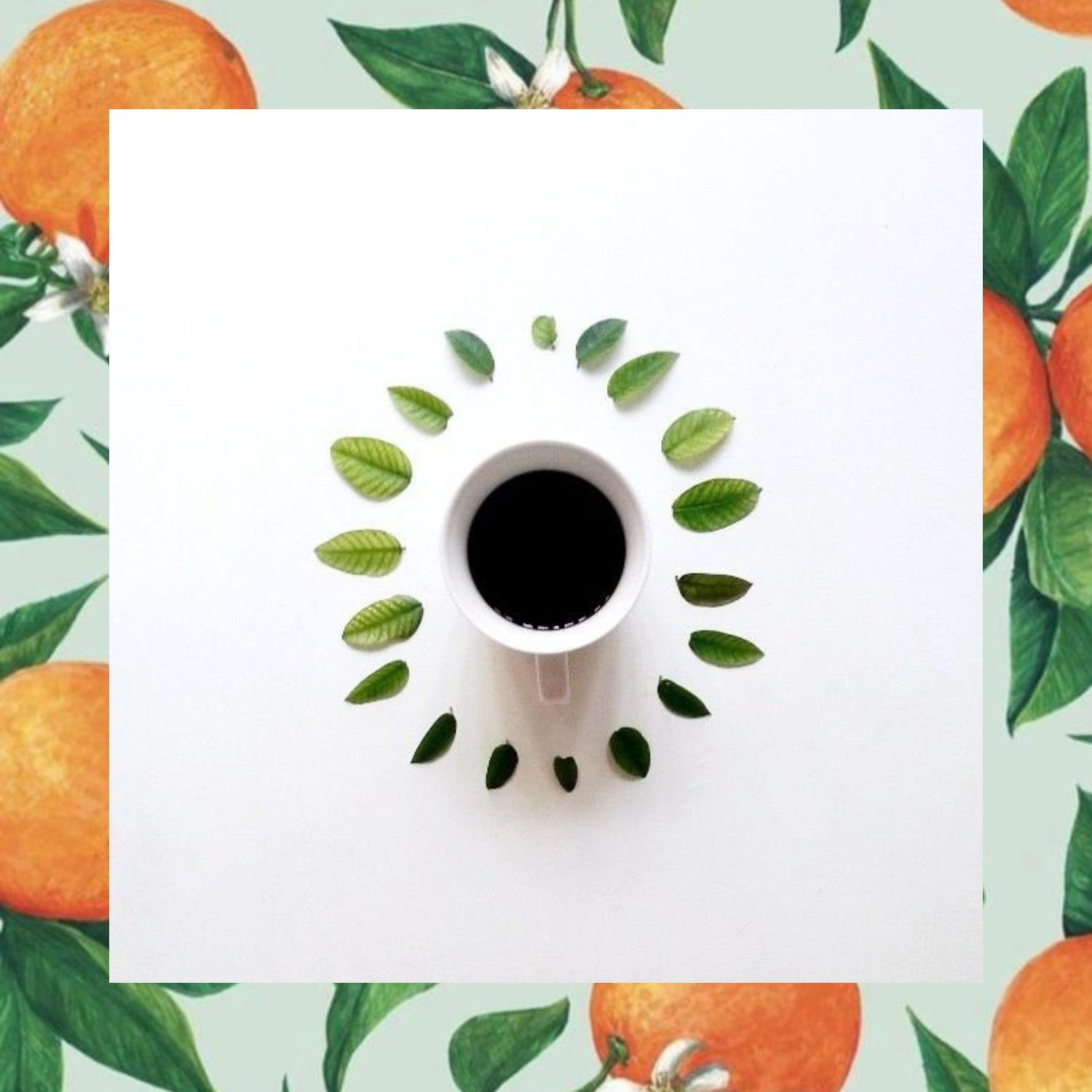 Mide Dostu Çay 80 Gram