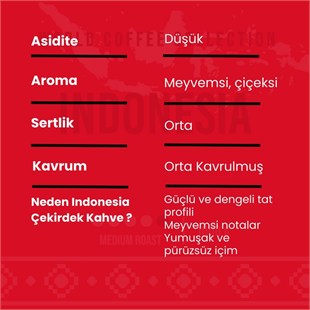 Addis Ababa Coffee - Dünya  Kahvesi - Robusto -Endonezya Doğu Java Bondowosa- 1000 Gr. 