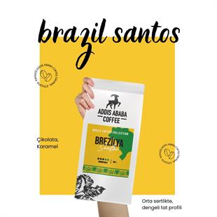Brazil Santos Coffee Beans 250 Gr