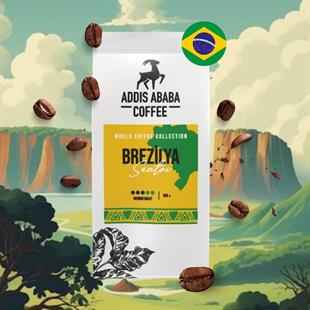 Brazil Santos Coffee Beans 250 Gr