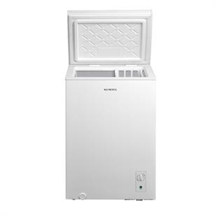 Vertical Deep Freezer (Chest Type)