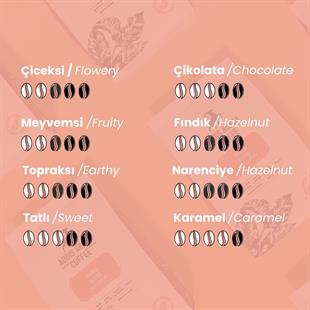 Harar Blend 250 Gr. V60 Dripper