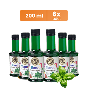 6 Pack Mint Flavored Coffee Syrup 200 Ml. (6x200ml.)
