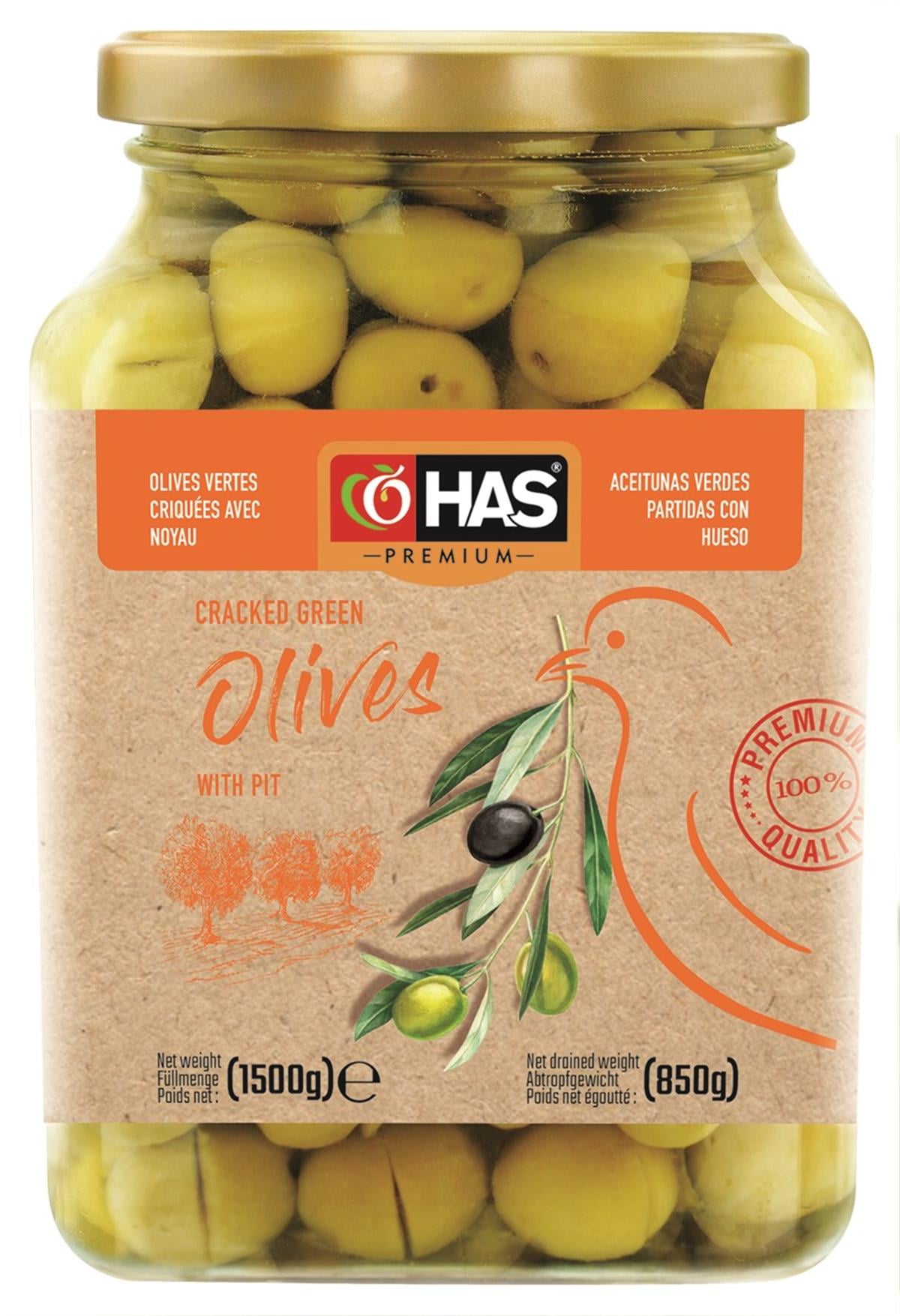 Kırma Yeşil Zeytin 1600cc