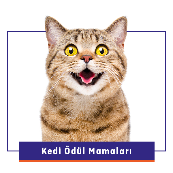 Kedi Ödül Maması