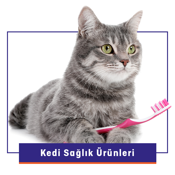 Kedi Sağlık Ürünleri