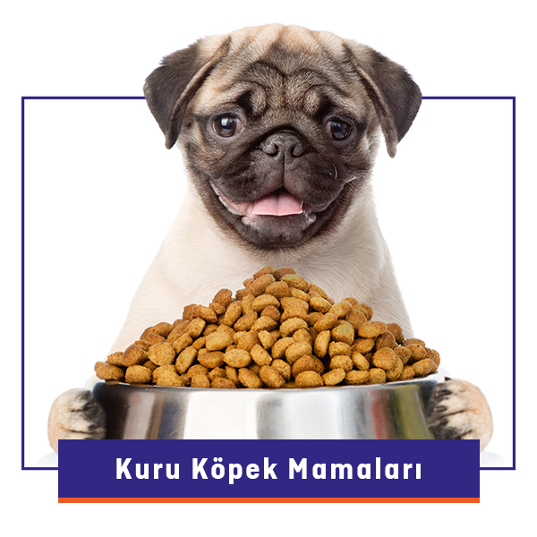 Kuru Köpek Maması