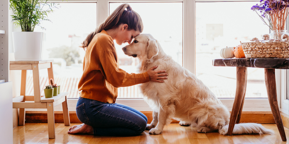 Köpeğinize Evde Hazırlayabileceğiniz Sağlıklı Mama Tarifleri