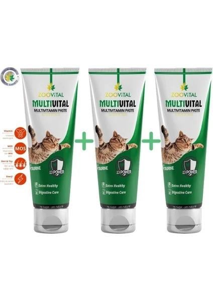 Zoovital Multivital Cat 100 gr Kedi Vitamini (3X100 Gr)