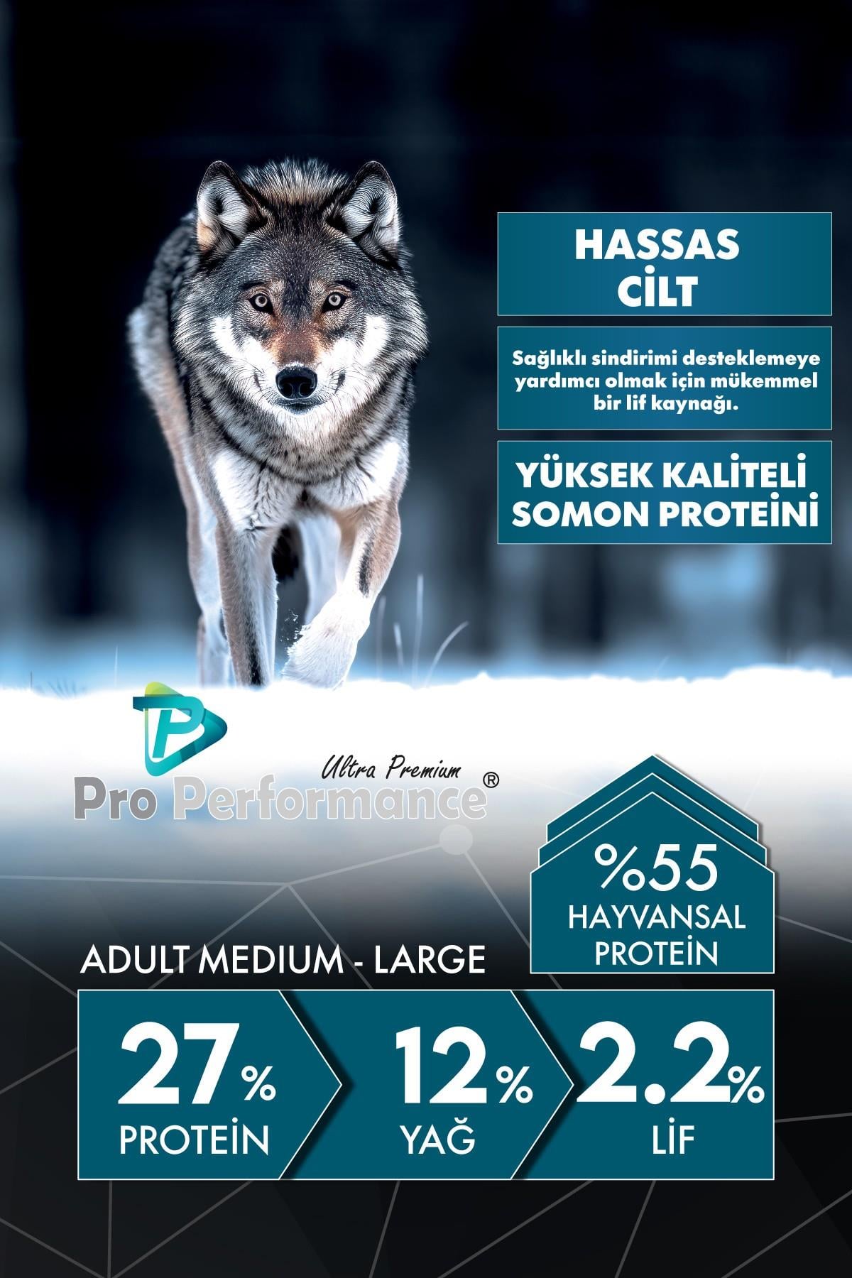 Pro Performance Somon ve Yaban Mersinli Orta ve Büyük Irk Yetişkin Köpek Maması 12 Kg