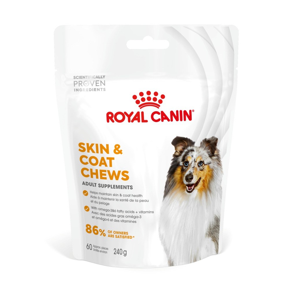 Royal Canin Skin&Coat Chews - Deri ve Tüy Sağlığını Destekleyen Tamamlayıcı Köpek Ödül Maması 240 g