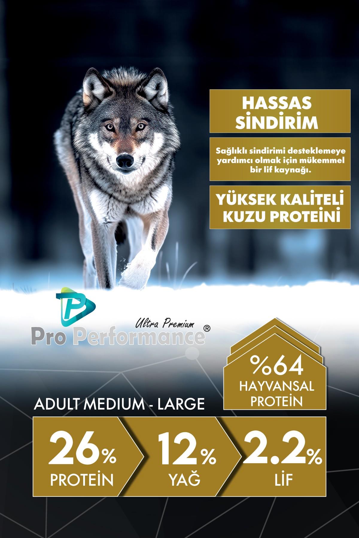 Pro Performance Kuzulu ve Yaban Mersinli Orta ve Büyük Irk Yetişkin Köpek Maması 12 Kg