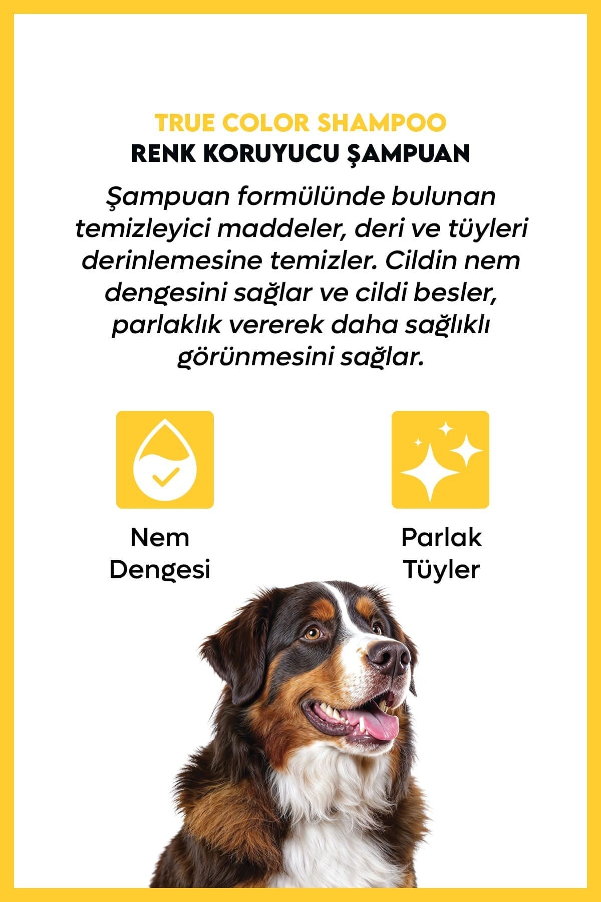 Supravet Renk Koruyucu Köpek Şampuanı 200ML