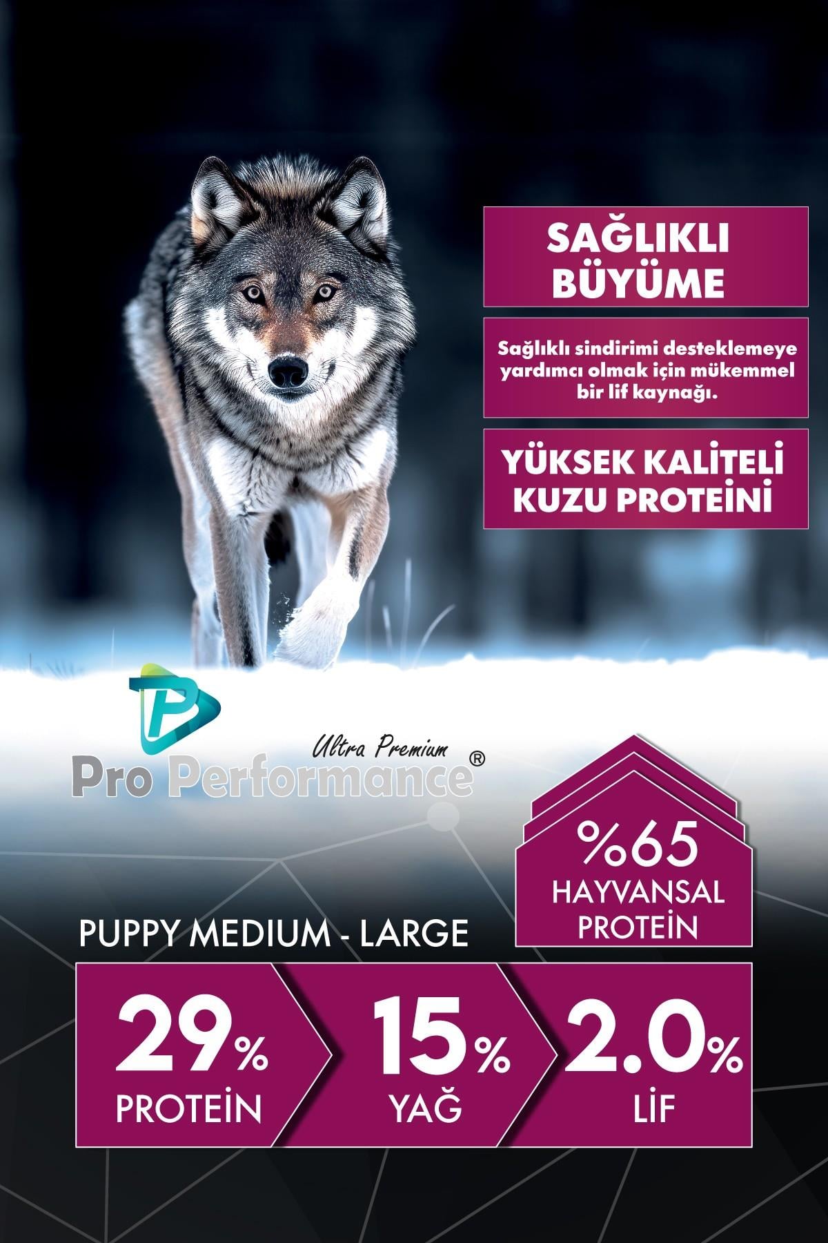 Pro Performance Kuzulu ve Yaban Mersinli Orta ve Büyük Irk Yavru Köpek Maması 12 Kg