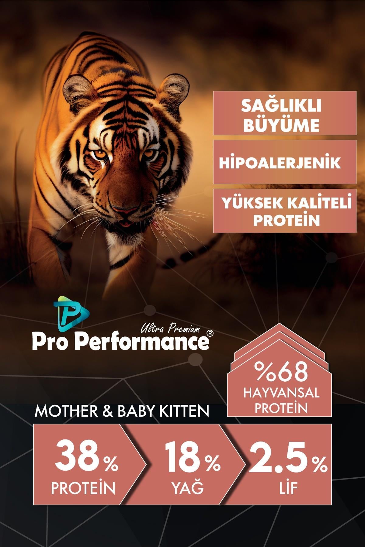 Pro Performance Mother Baby Kitten Somonlu ve Pirinçli Anne Yavru Kedi Maması 2 Kg
