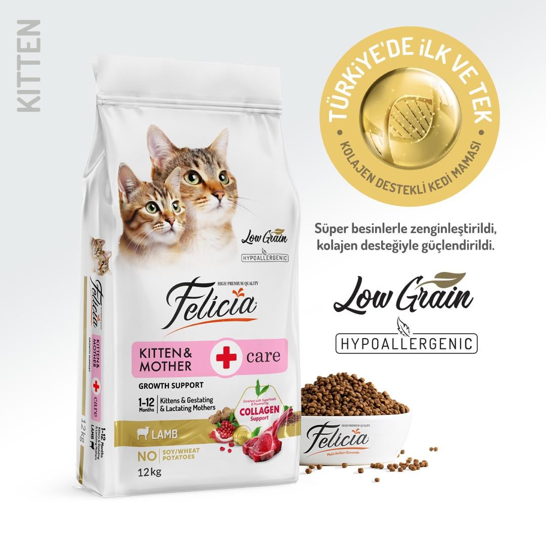Felicia HypoAllergenic Kuzu Etli Düşük Tahıllı Yavru Kedi Maması 12kg