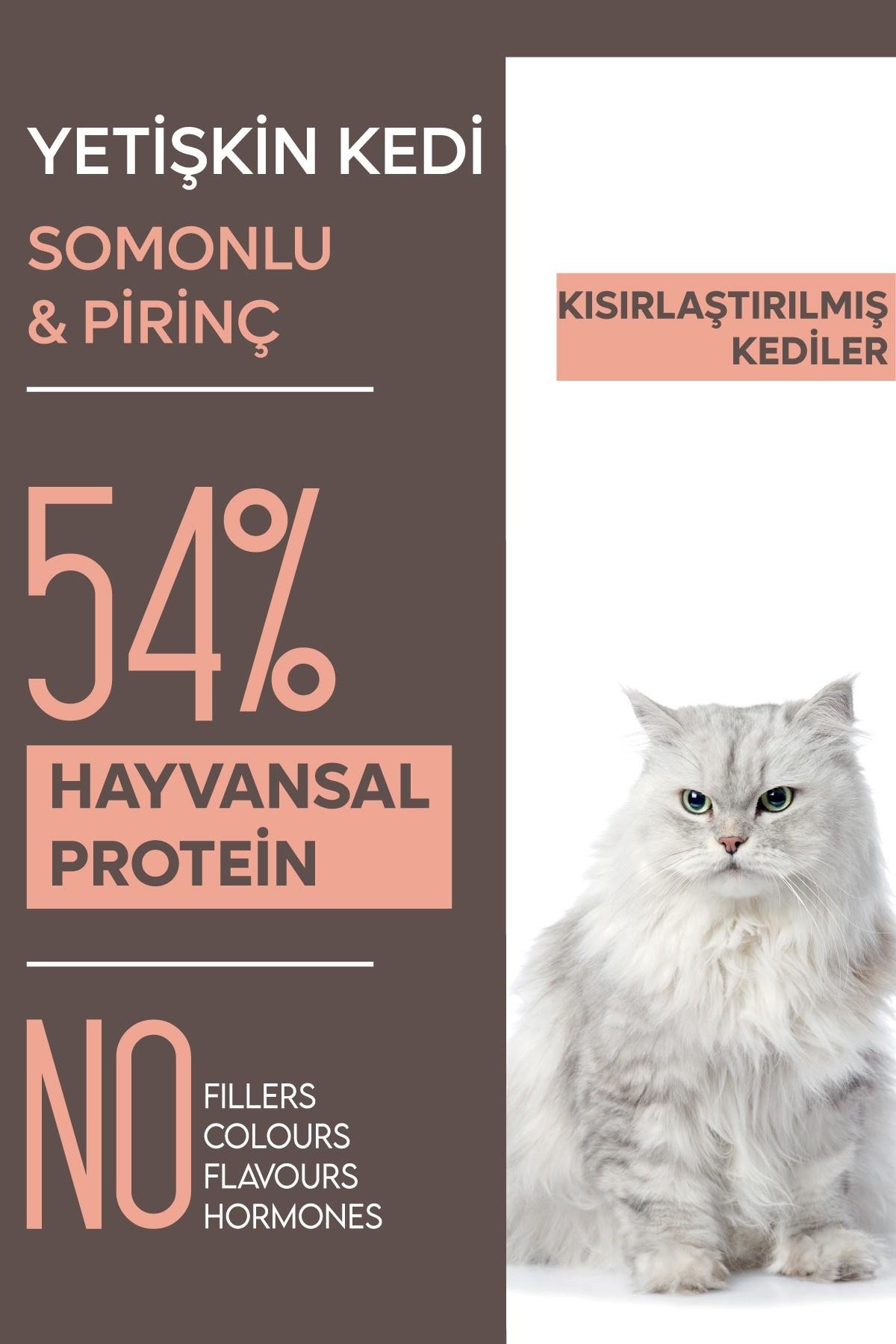 Animal World Somon Etli Kısırlaştırılmış Kedi Maması 15 Kg
