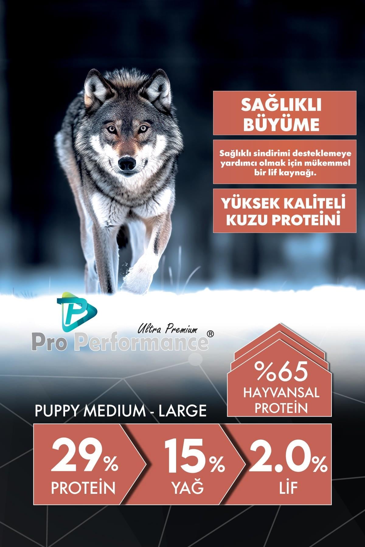 Pro Performance Somon ve Yaban Mersinli Orta ve Büyük Irk Yavru Köpek Maması 12 Kg