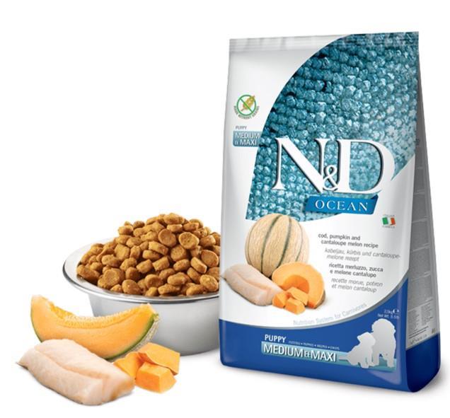N&D Ocean Balkabaklı Morina Balıklı Kavunlu Tahılsız Medium Maxi Yavru Köpek Maması 12kg
