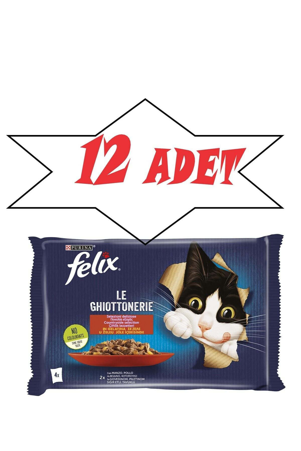 Felix Jöle İçinde Sığır Etli ve Tavuklu Yetişkin Kedi Konservesi 85gr (4'lü)