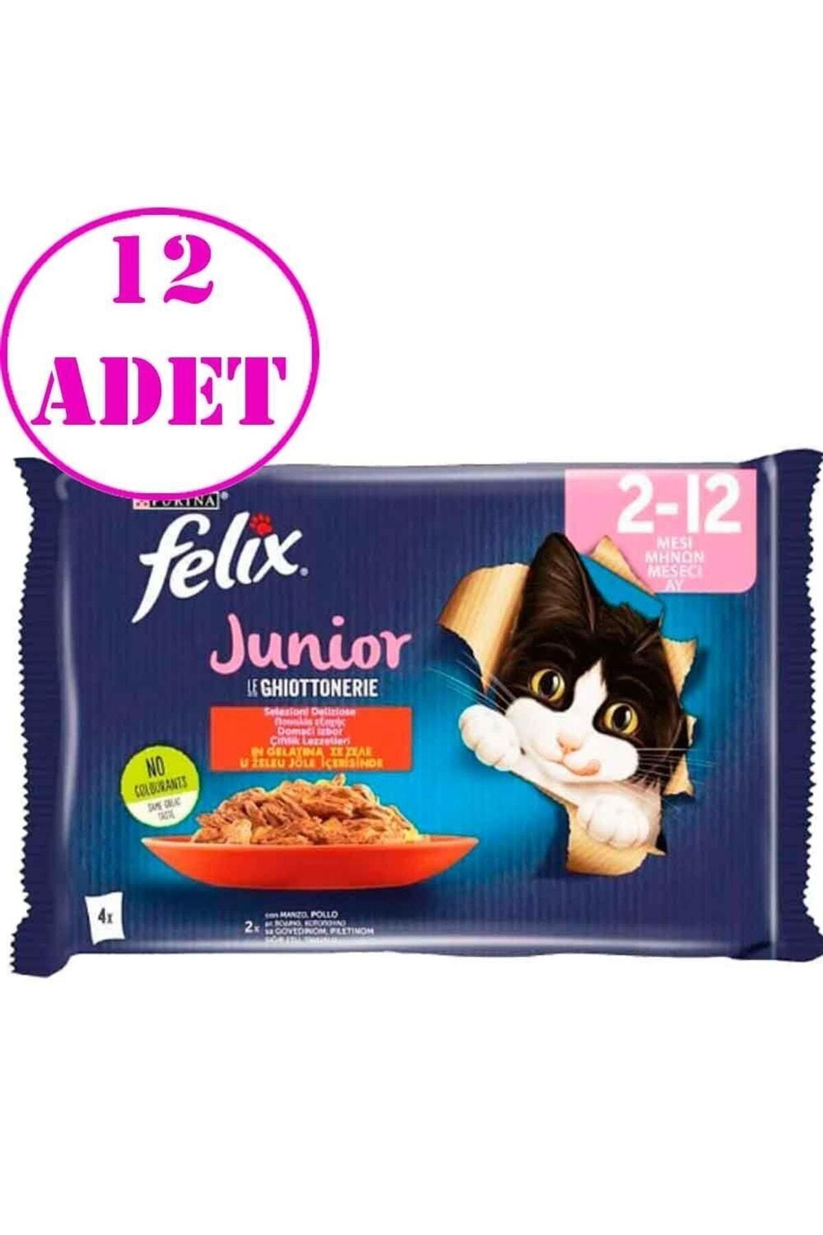 Felix Junior Tavuklu ve Sığır Etli Yaş Kedi Maması (4X85GR) 12 Adet