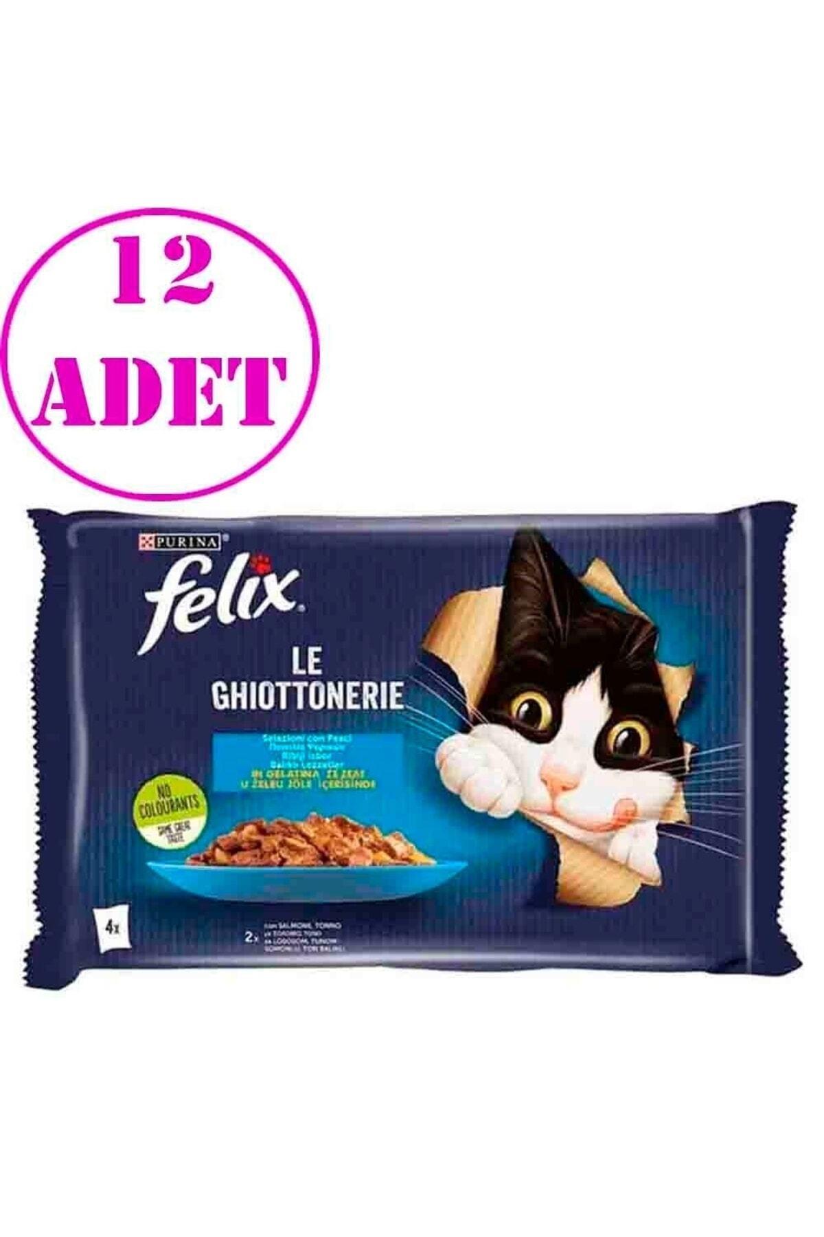 Felix Multipack Somonlu Ve Ton Balıklı Yetişkin Kedi Yaş Maması 4 X 85 G 12 Adet Felix Multipack