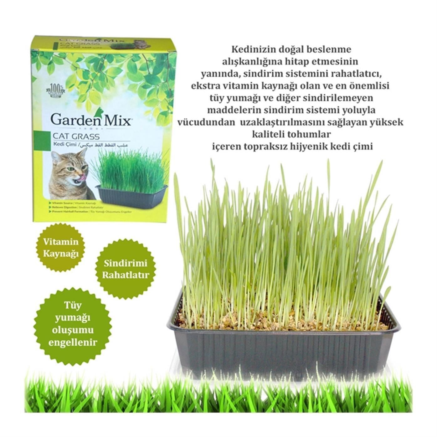 Garden Mix Kedi Çimi Büyük